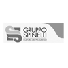 Gruppo Spinelli Chiasso